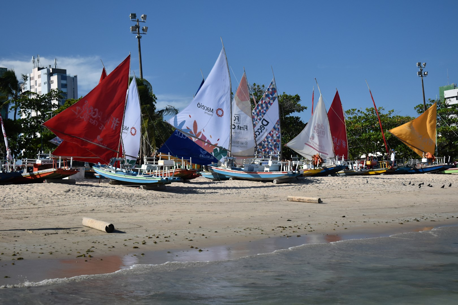 Orla de Pajuçara + Jangadas